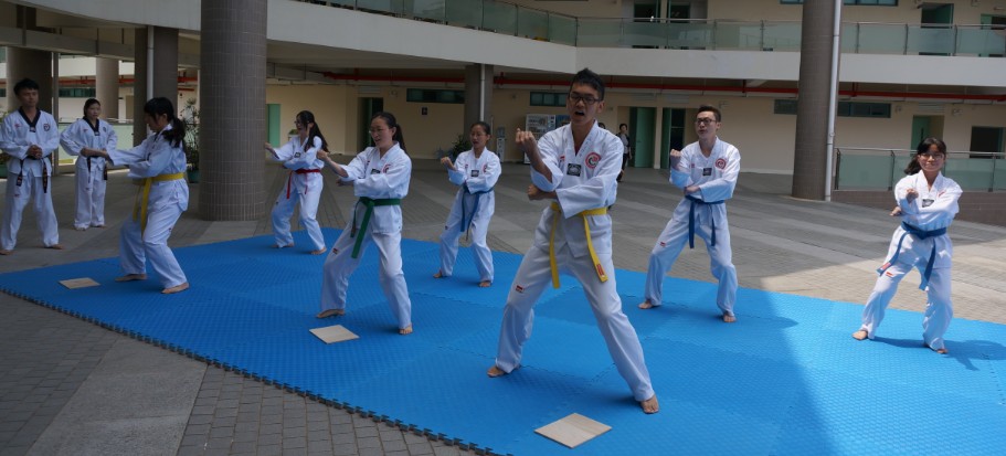 wushuzhan1