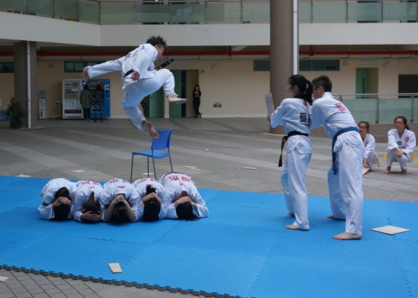 wushuzhan4