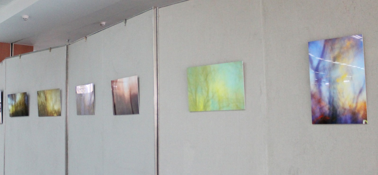 cell photo 1